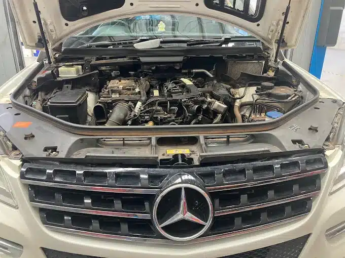 Mercedes-Benz-Service-Specialists
